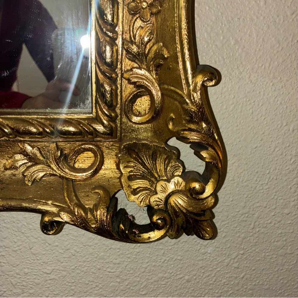 Elegant Gold Ornate Wall Mirror